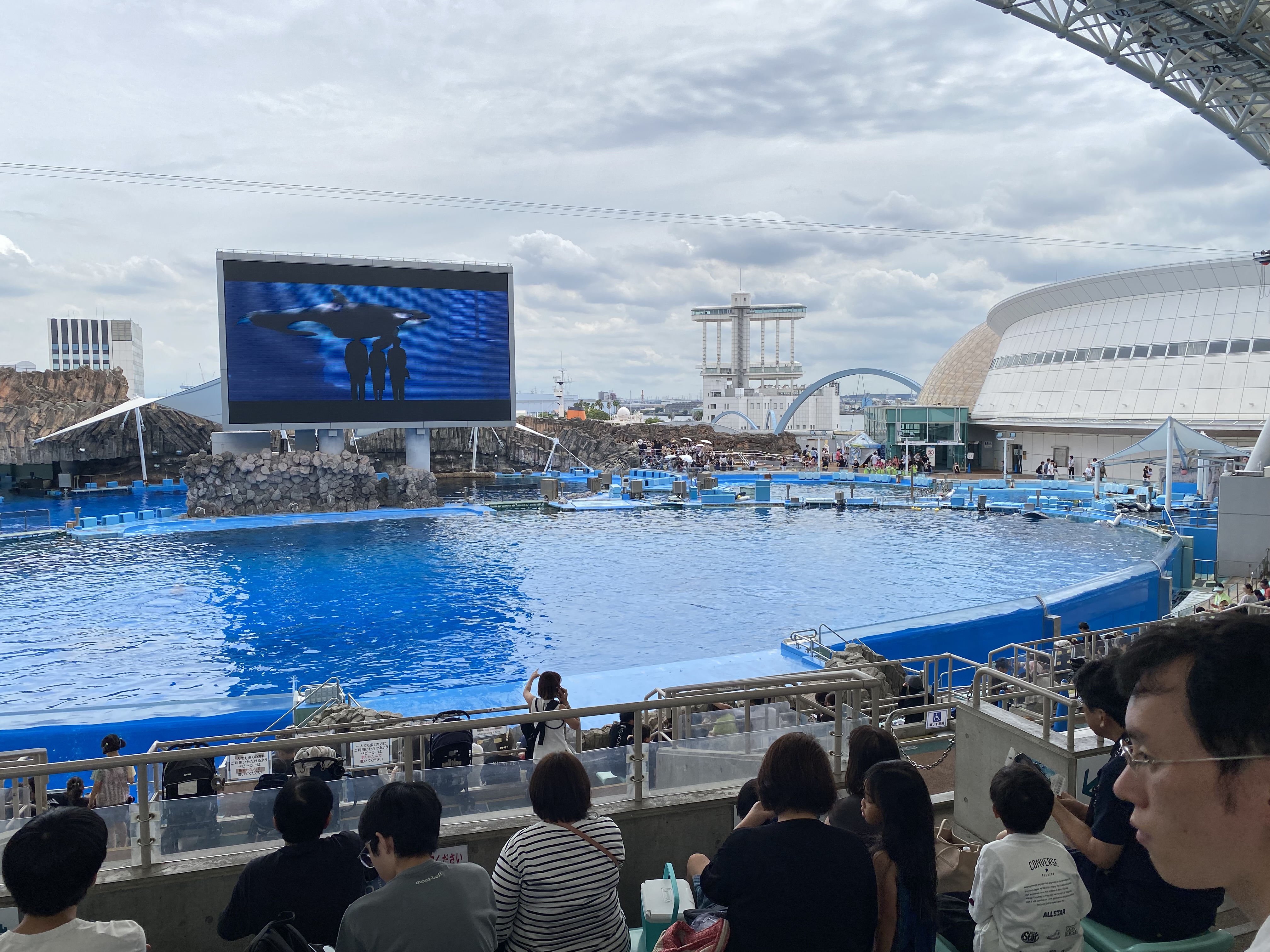 メインプール