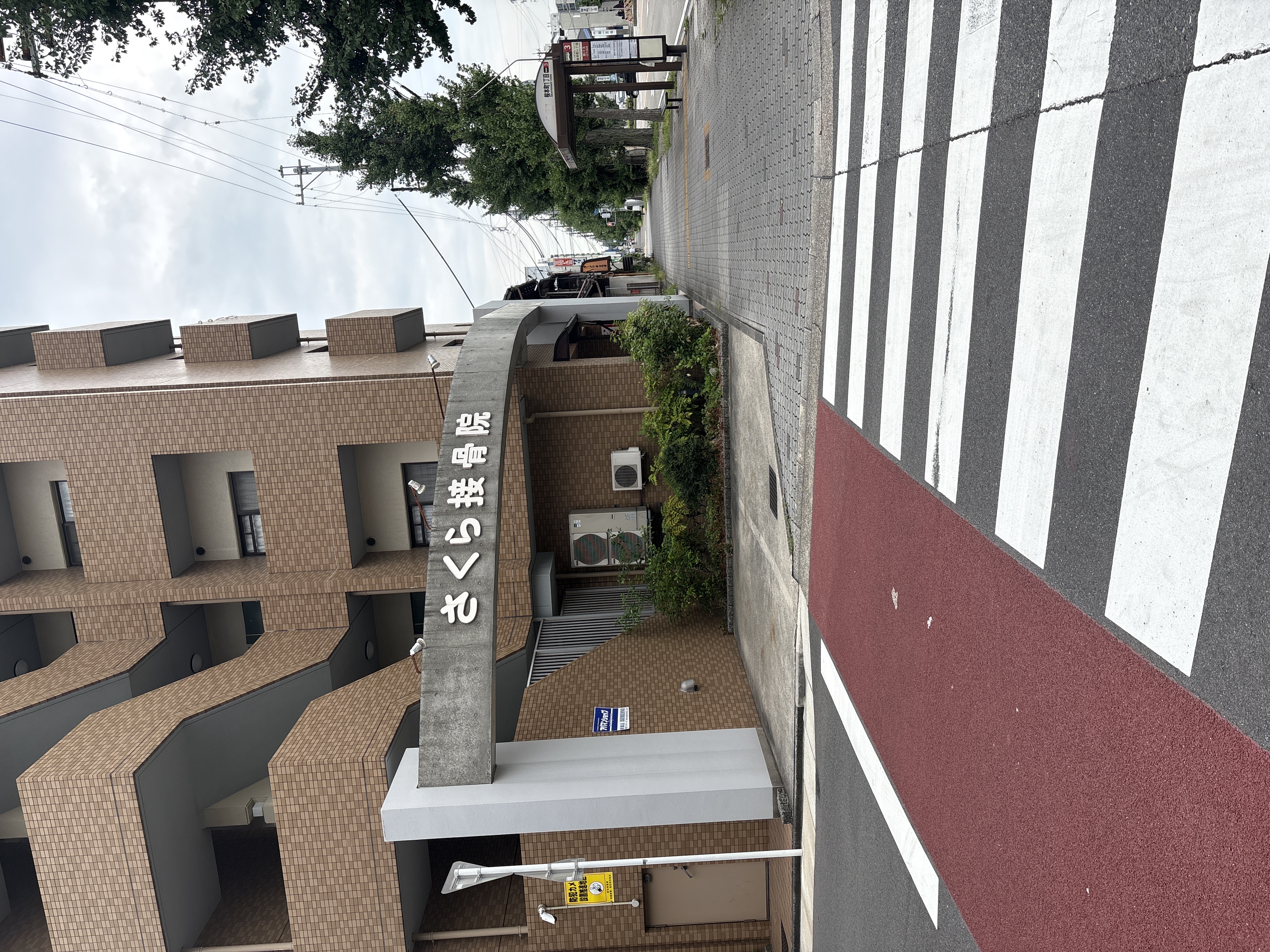さくら接骨院