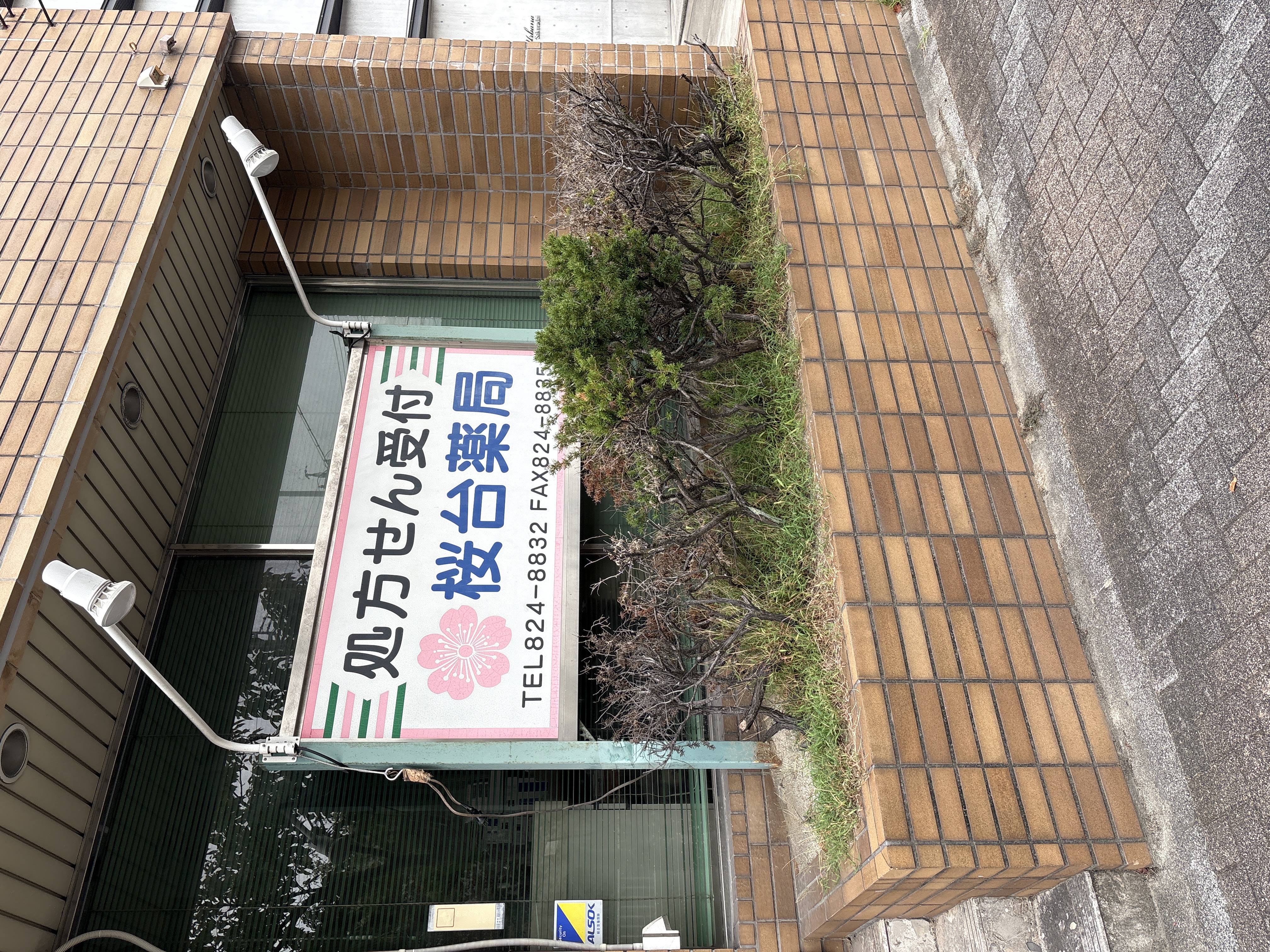 桜台薬局
