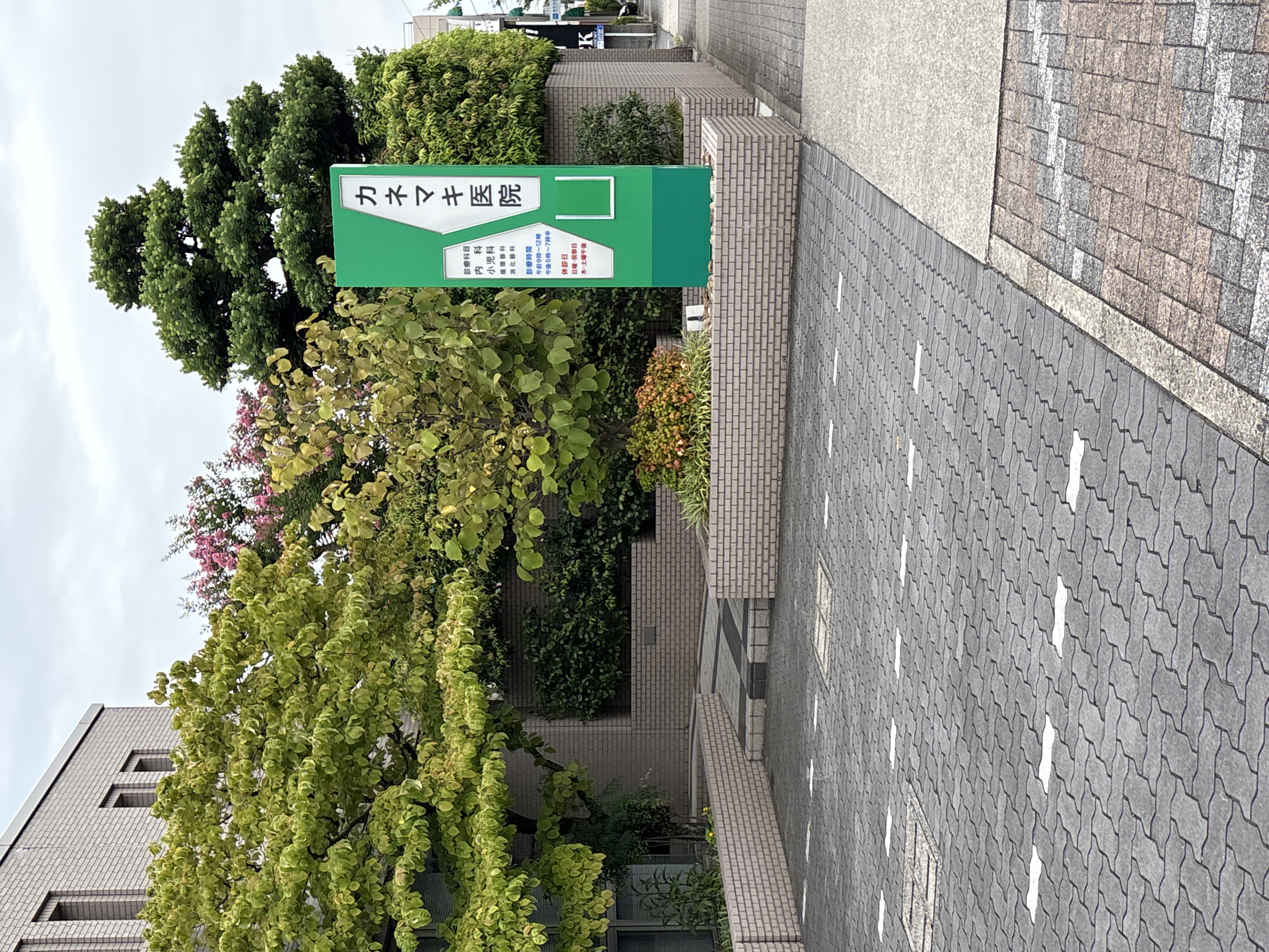 カネマキ医院