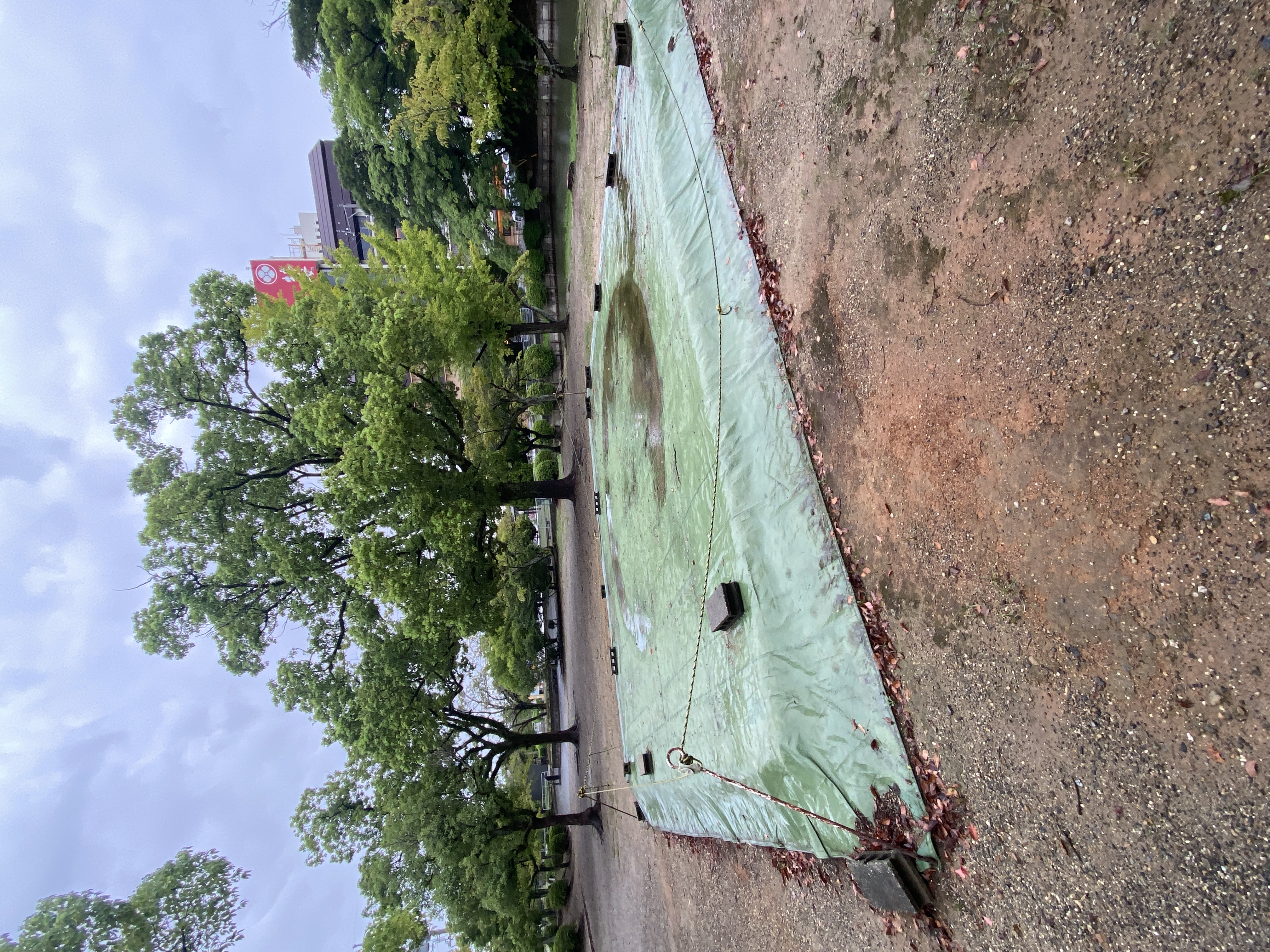 九華公園 相撲場
