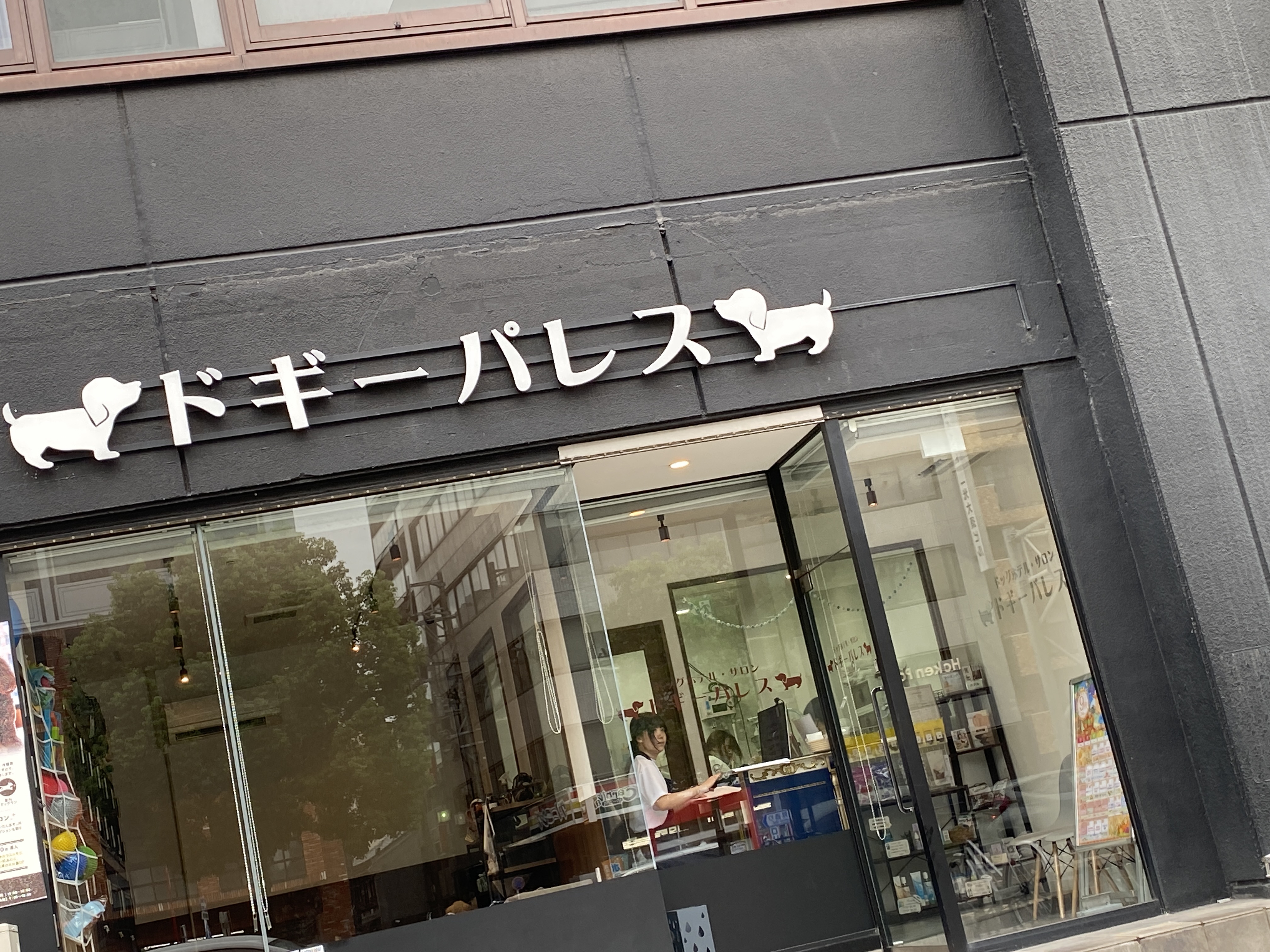 ドギーパレス 大須店