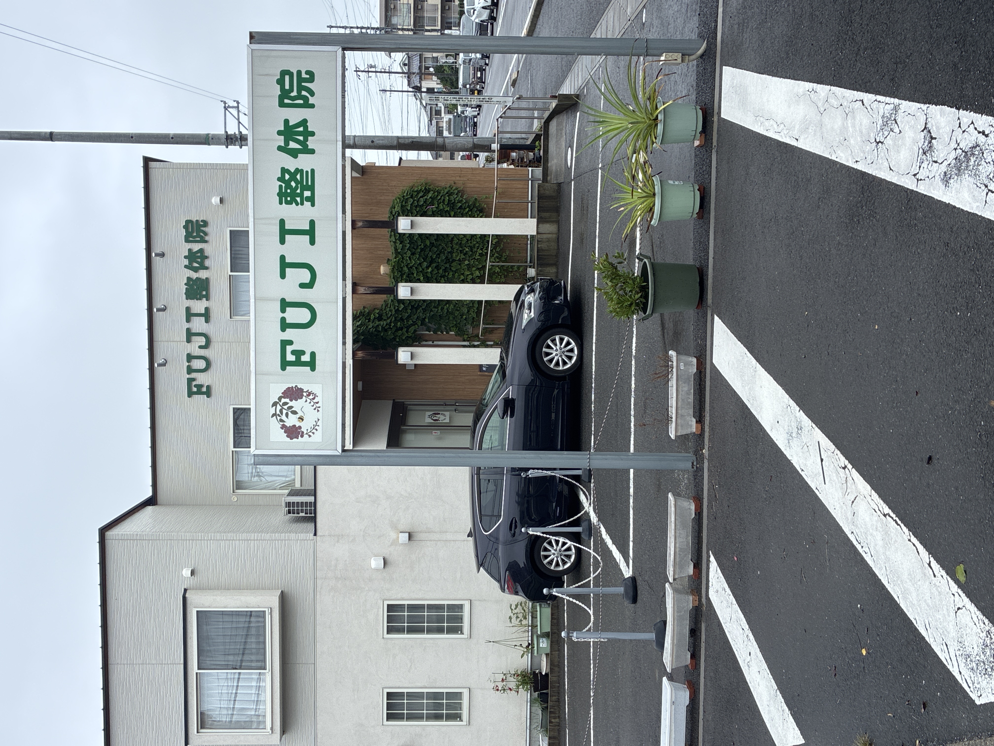 ドッグサロングリーン