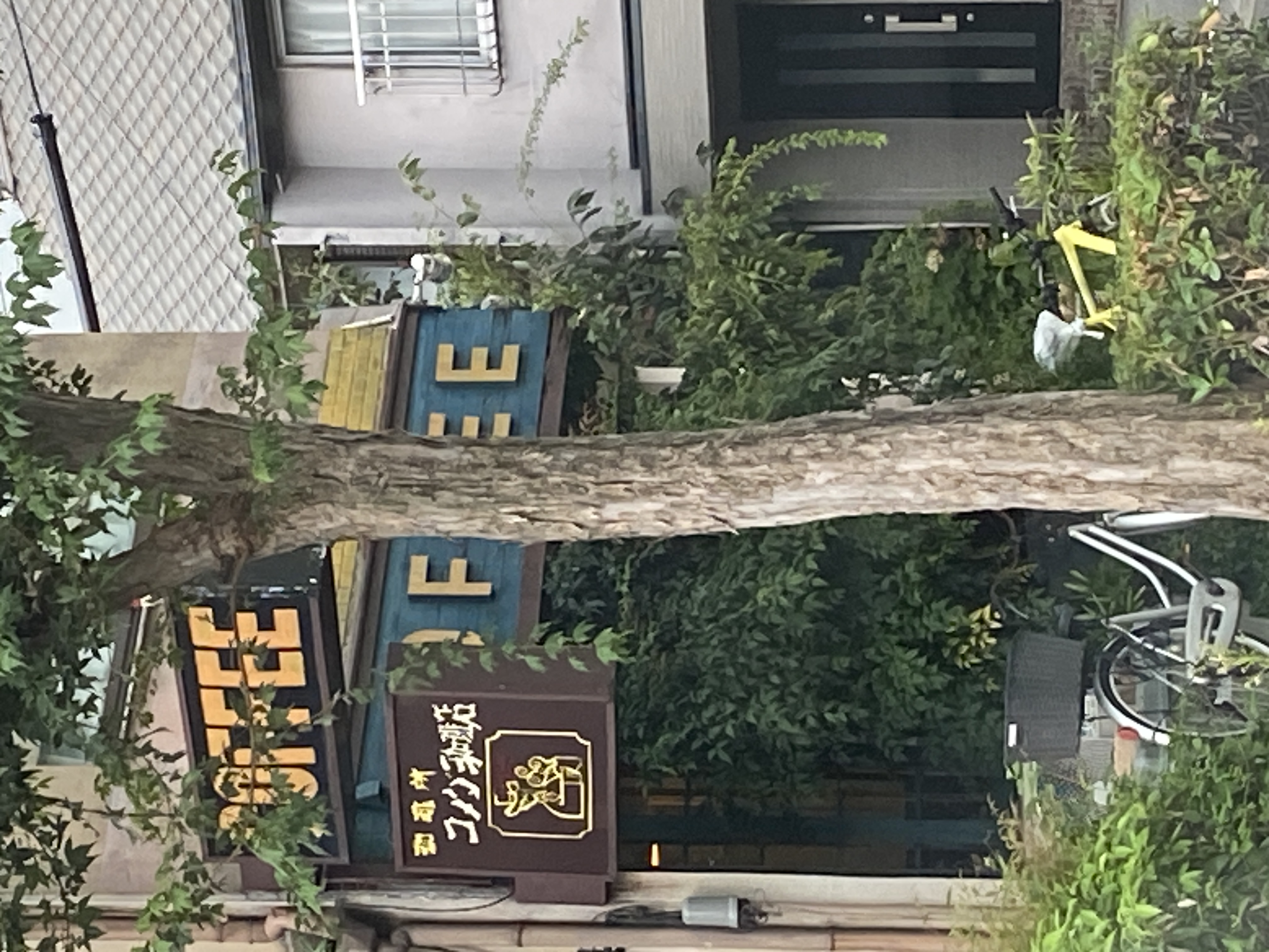 コメダ珈琲 東郊通店