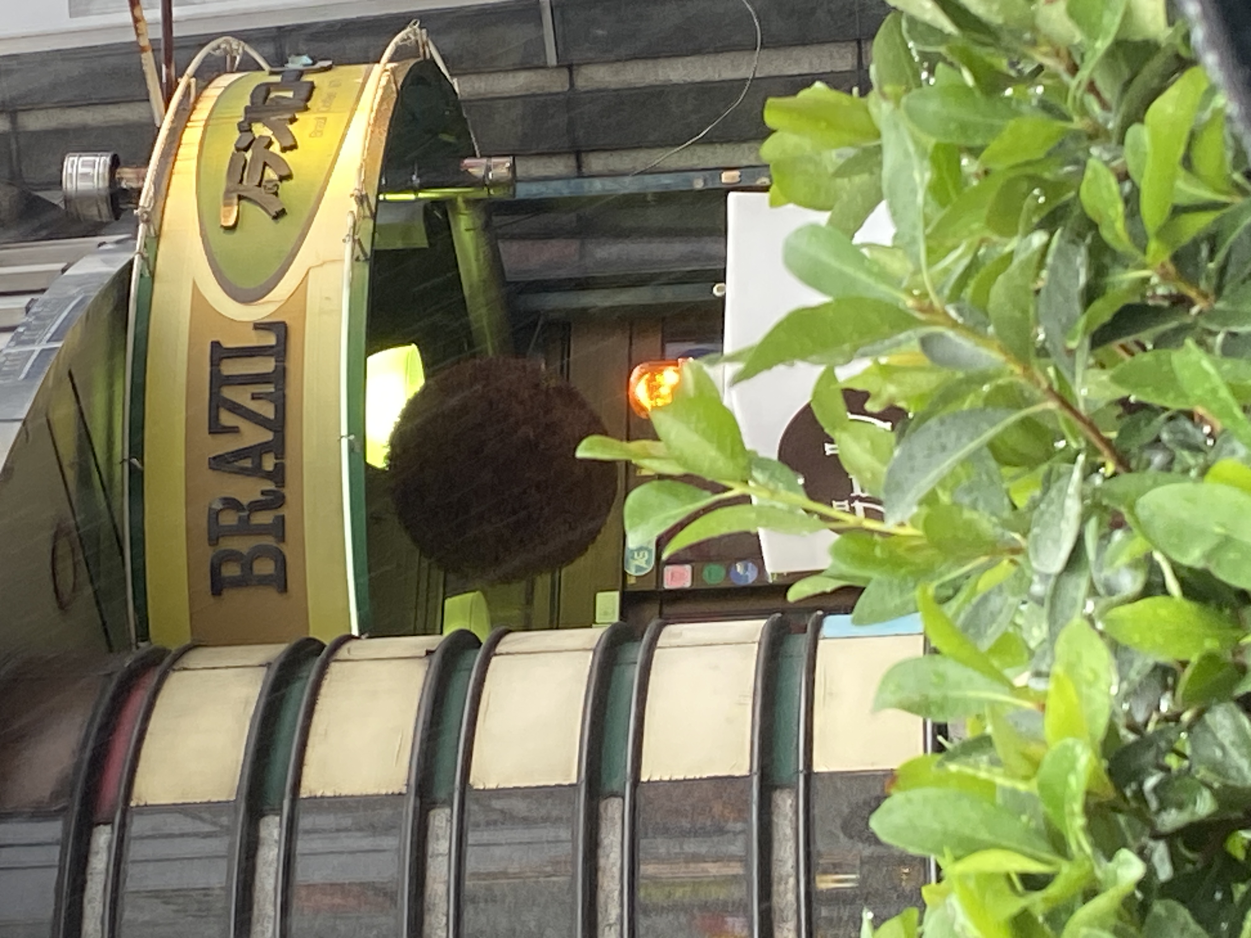 ブラジルコーヒー