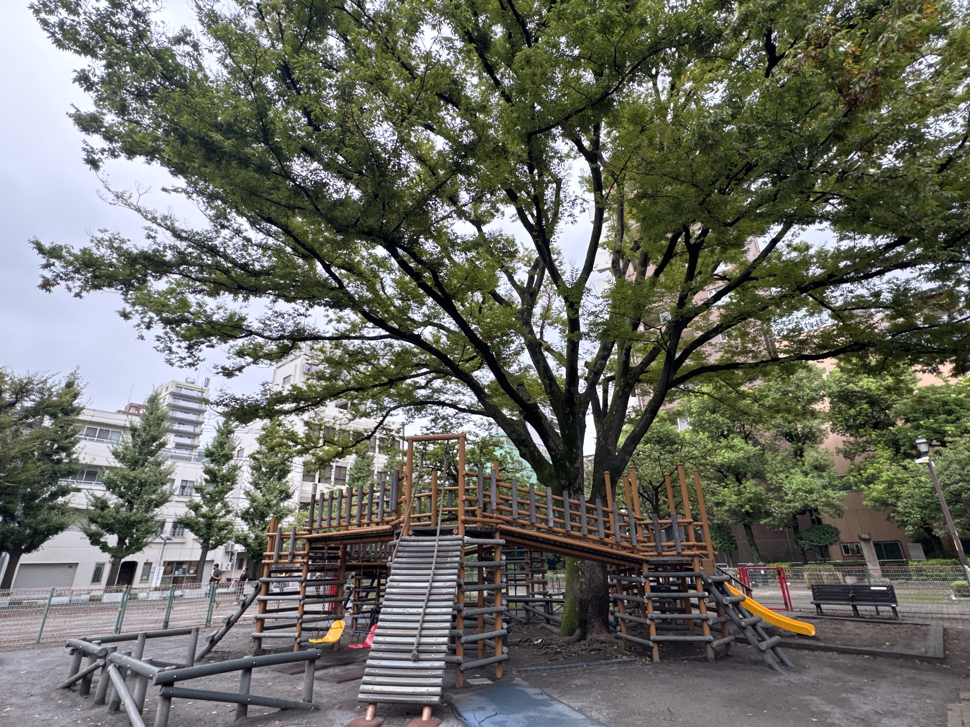 花川戸公園 (北側)