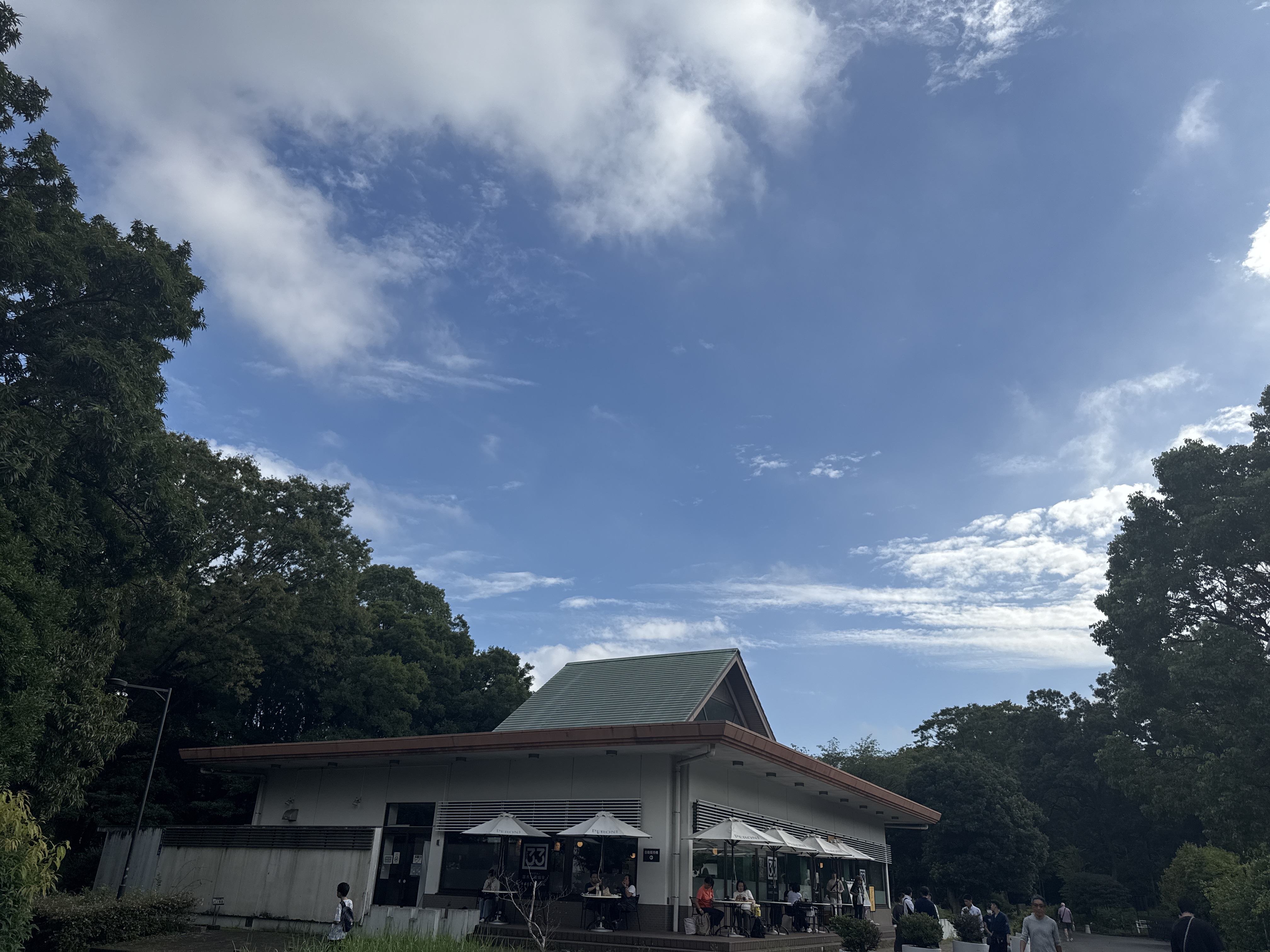CAFÉ 33
