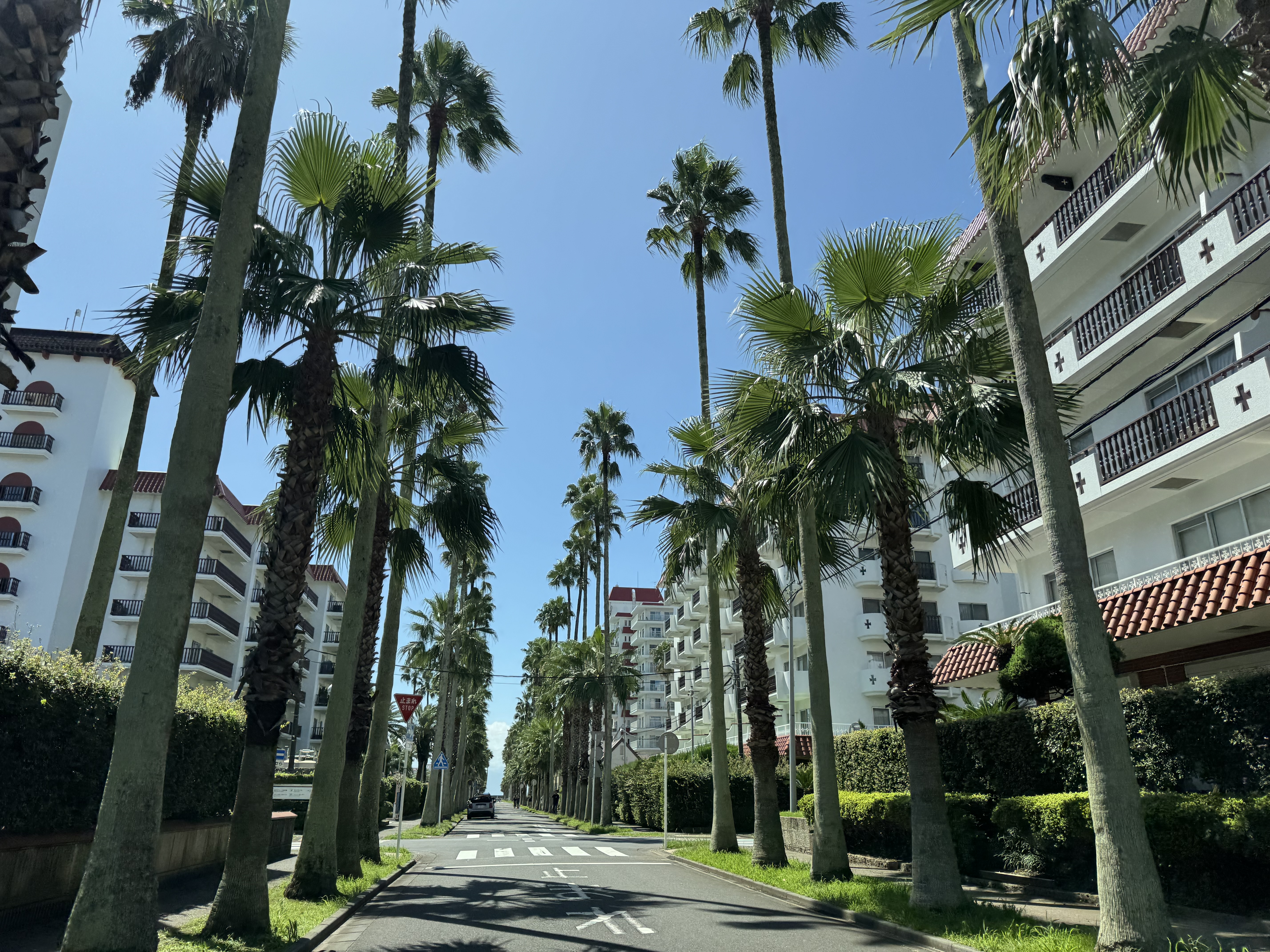 逗子マリーナ3号棟