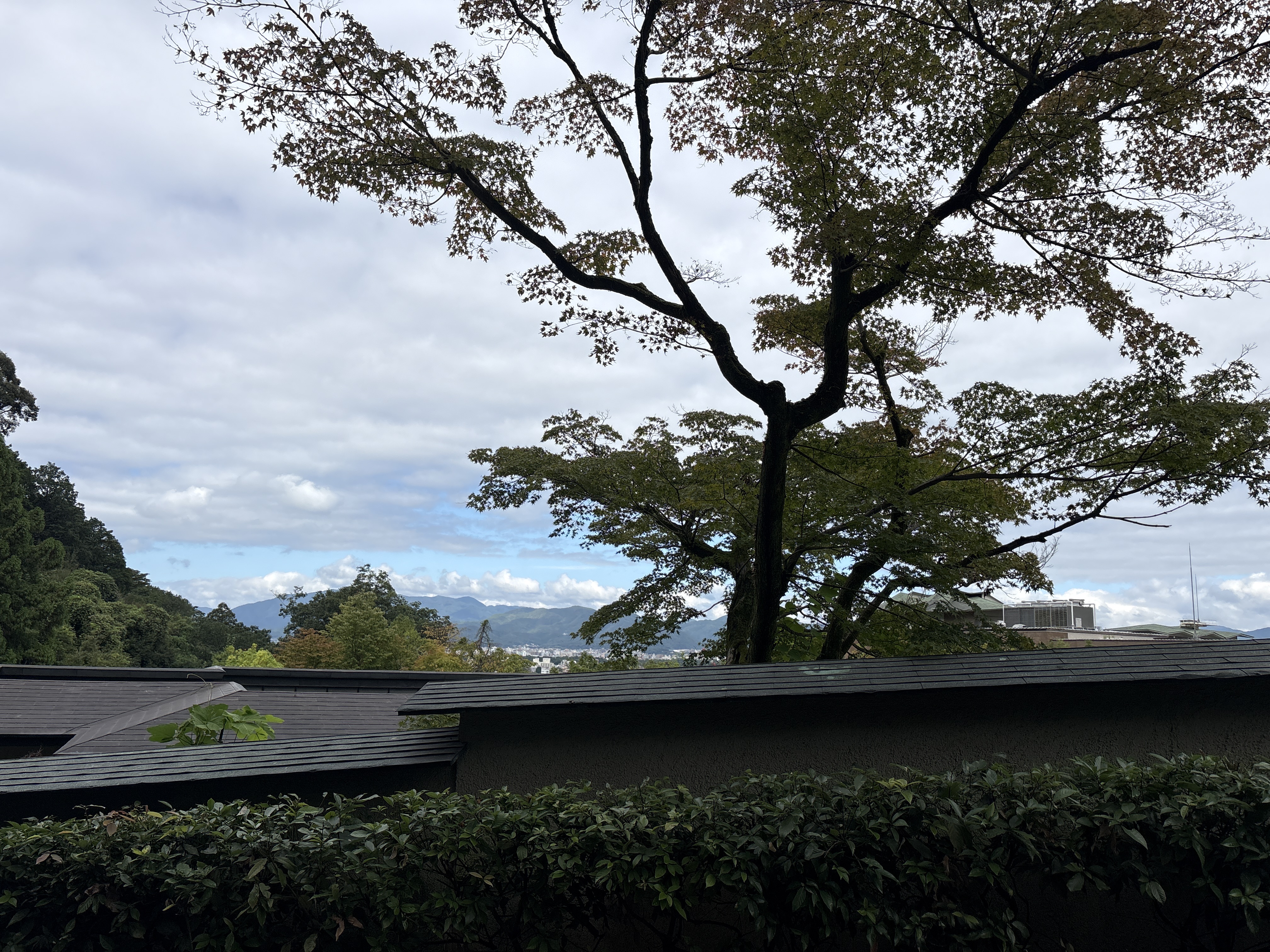 佳水園庭園
