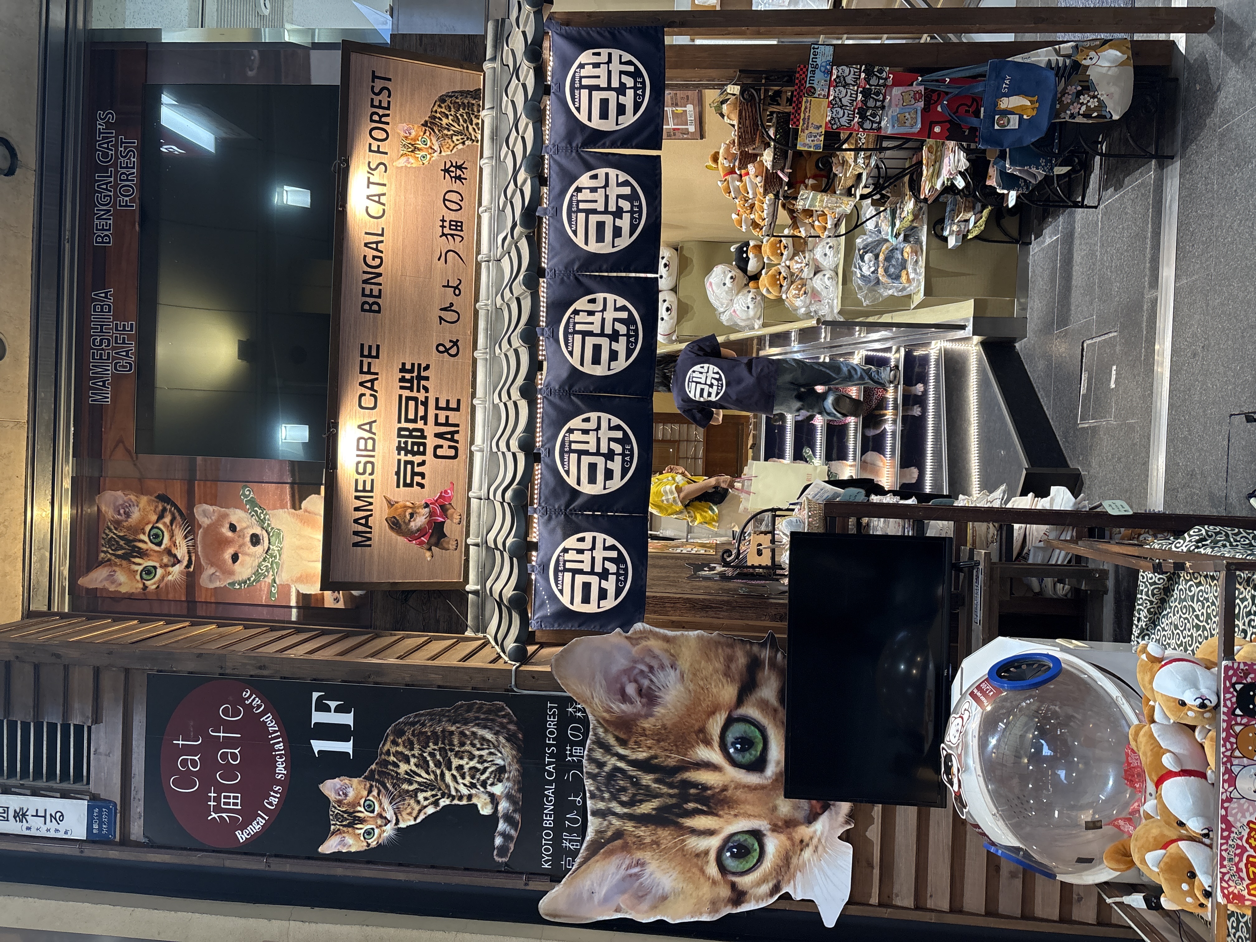 京都豆柴CAFE