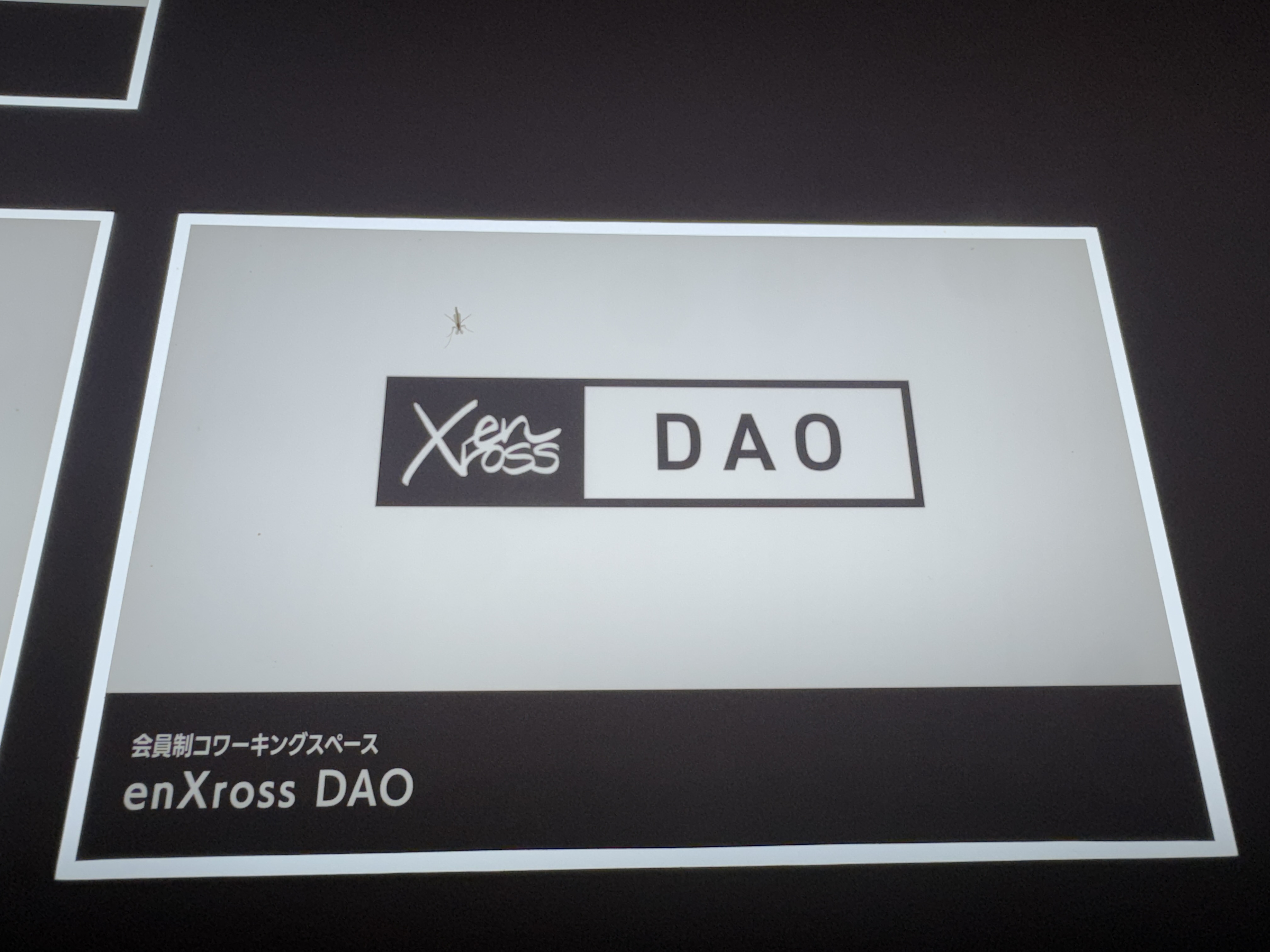 enXross DAO