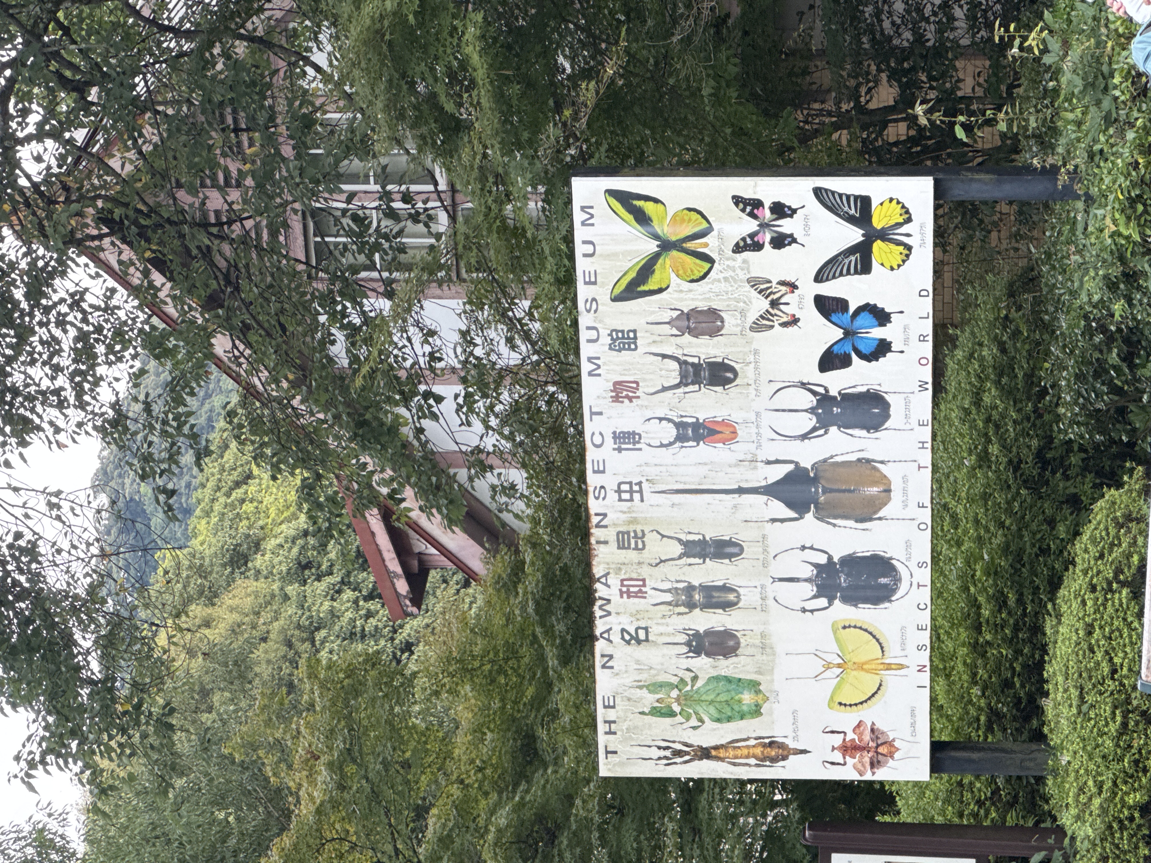 記念昆虫館