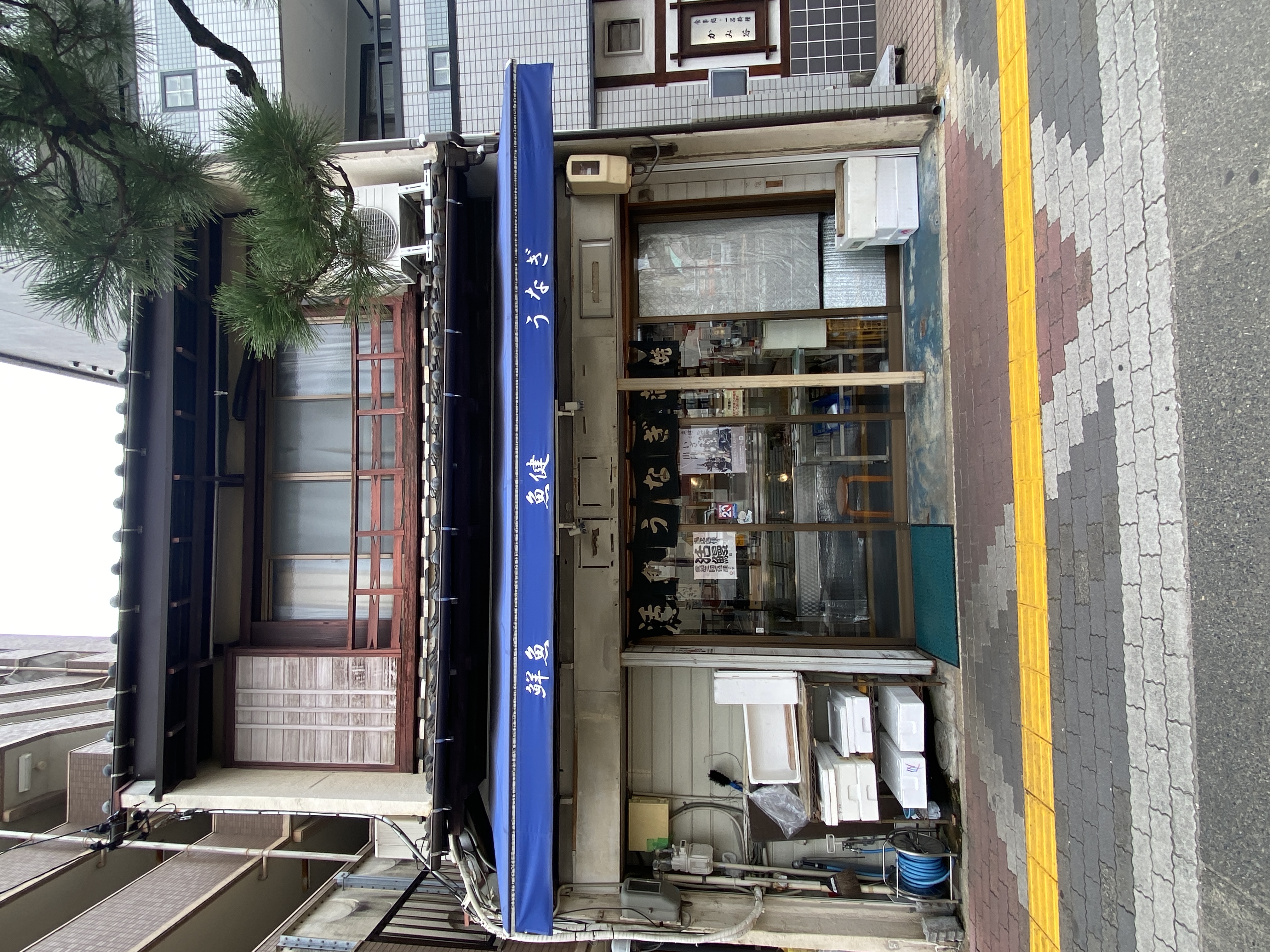 魚健