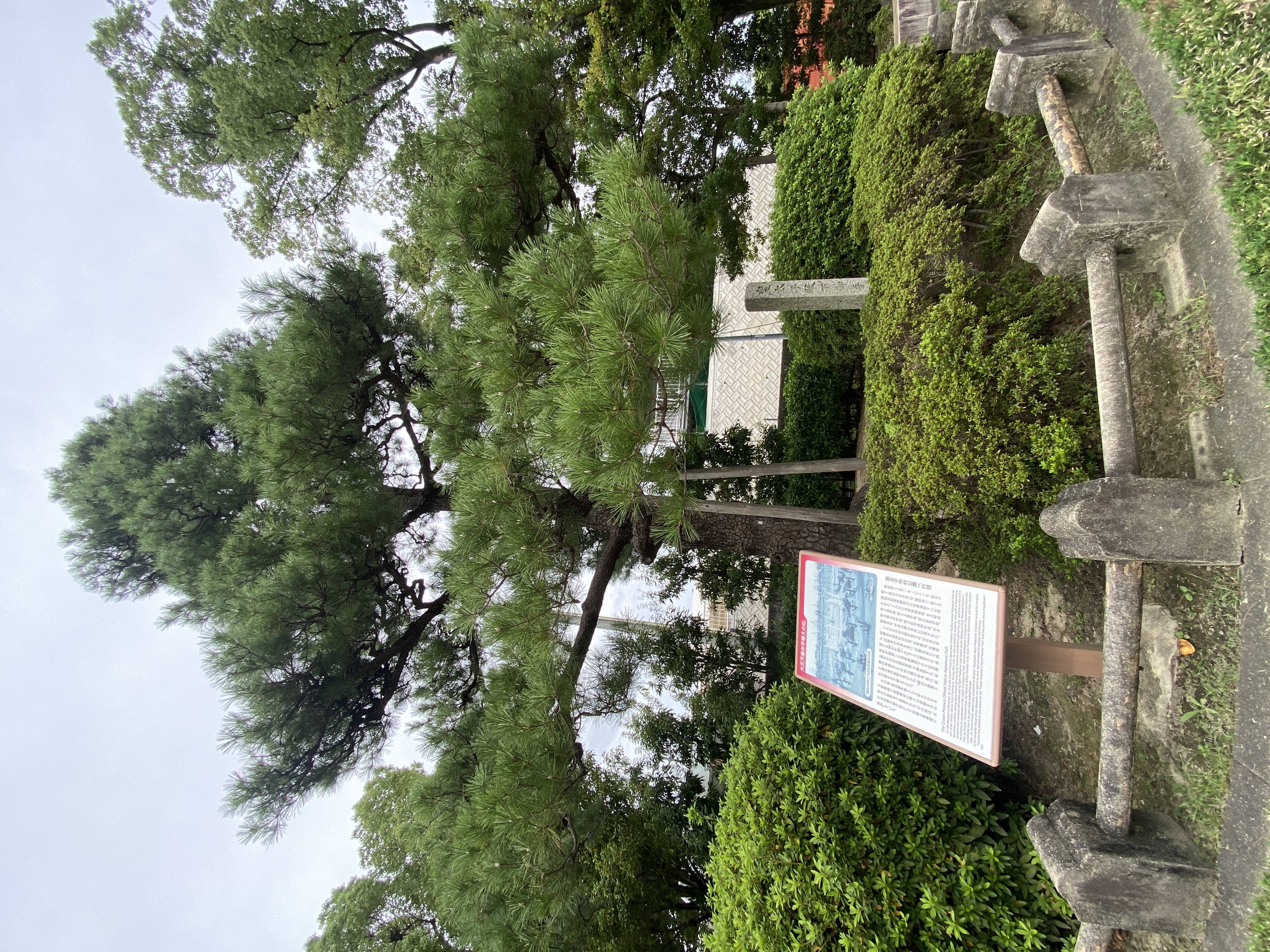 大正天皇お手植えの松