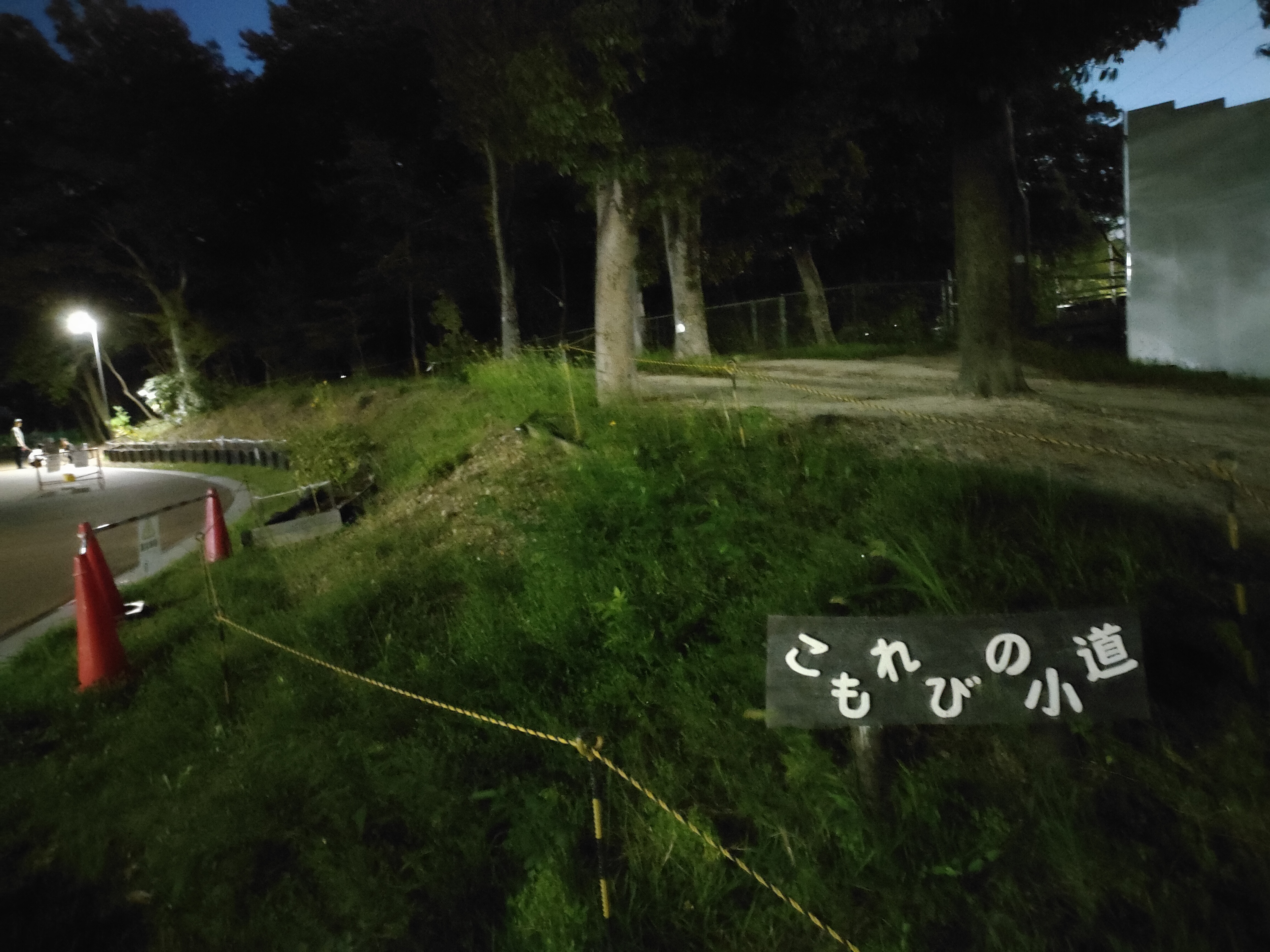 こもれびの小道
