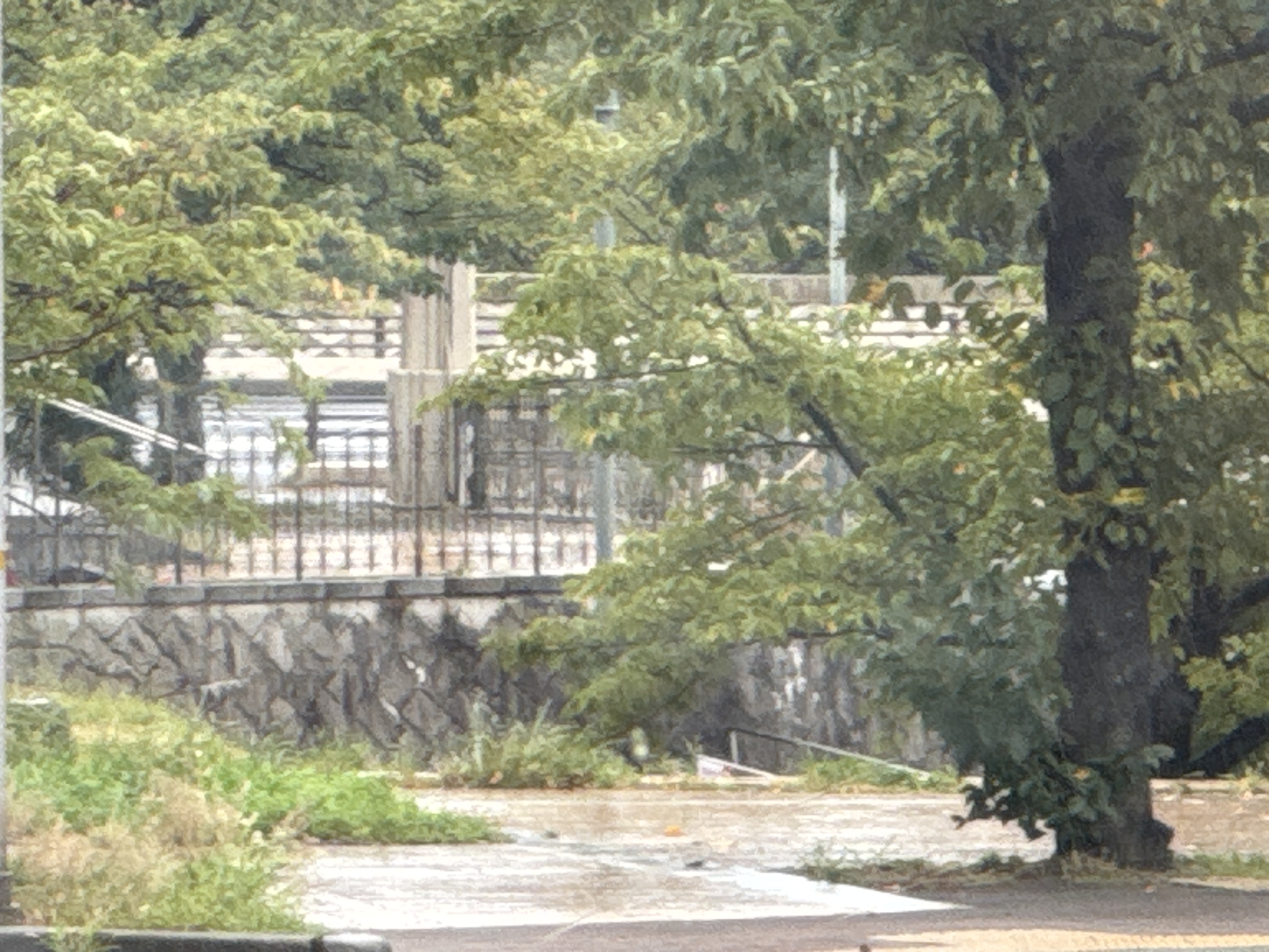 生田橋