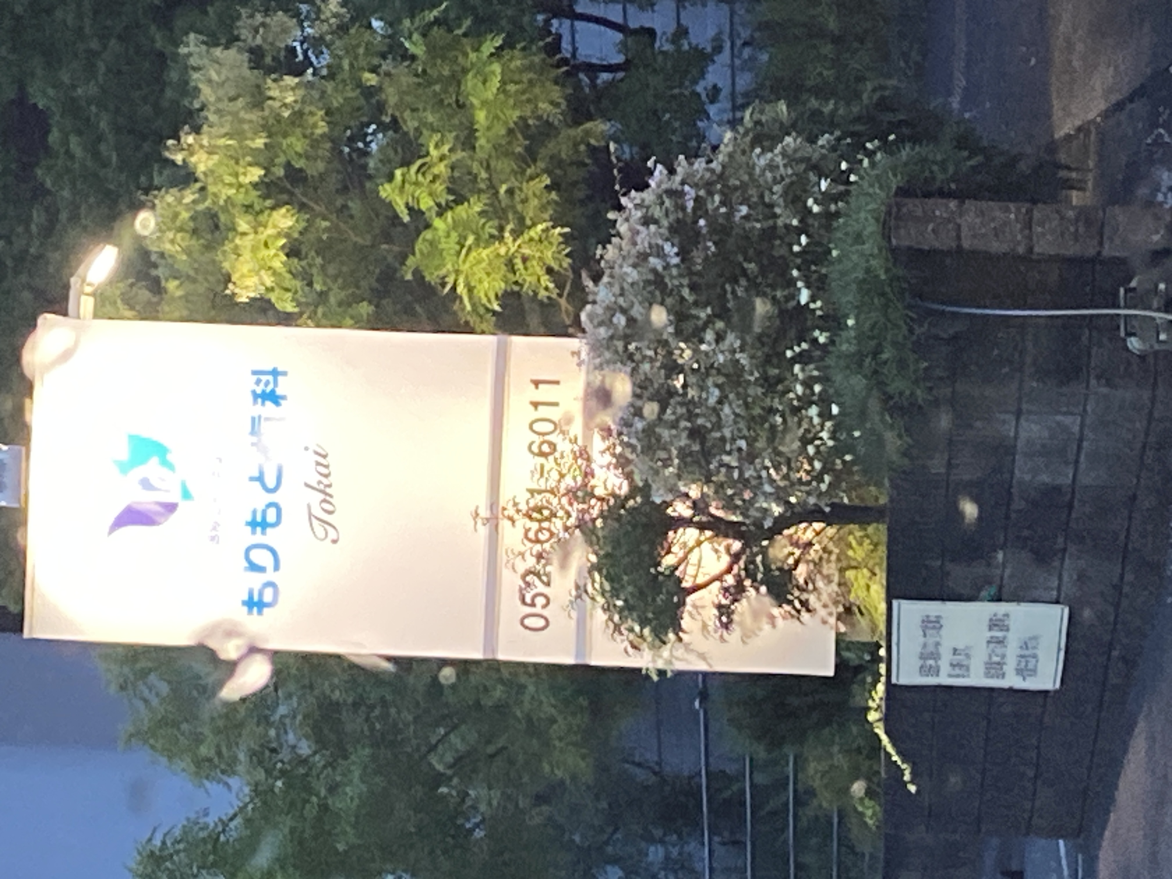 もりもと歯科