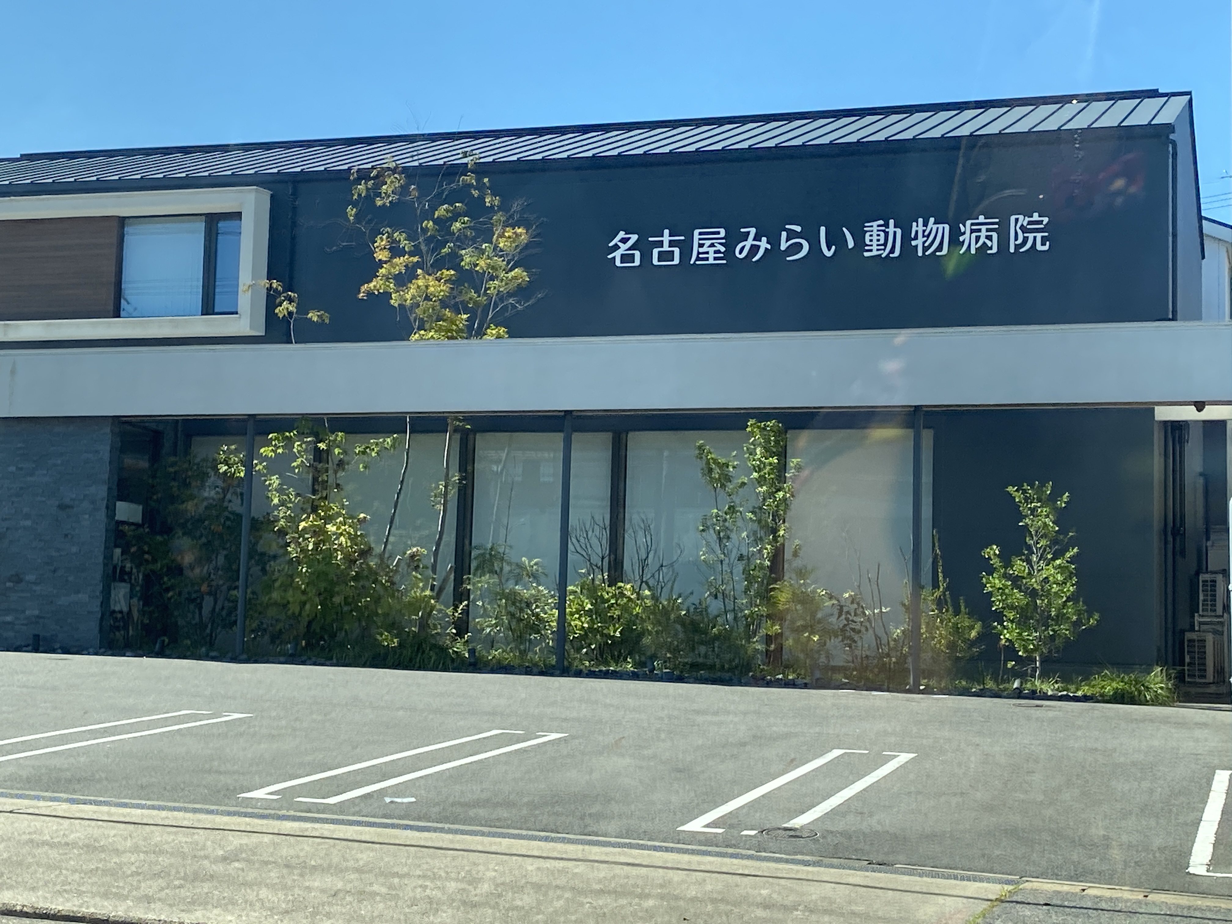 名古屋みらい動物病院