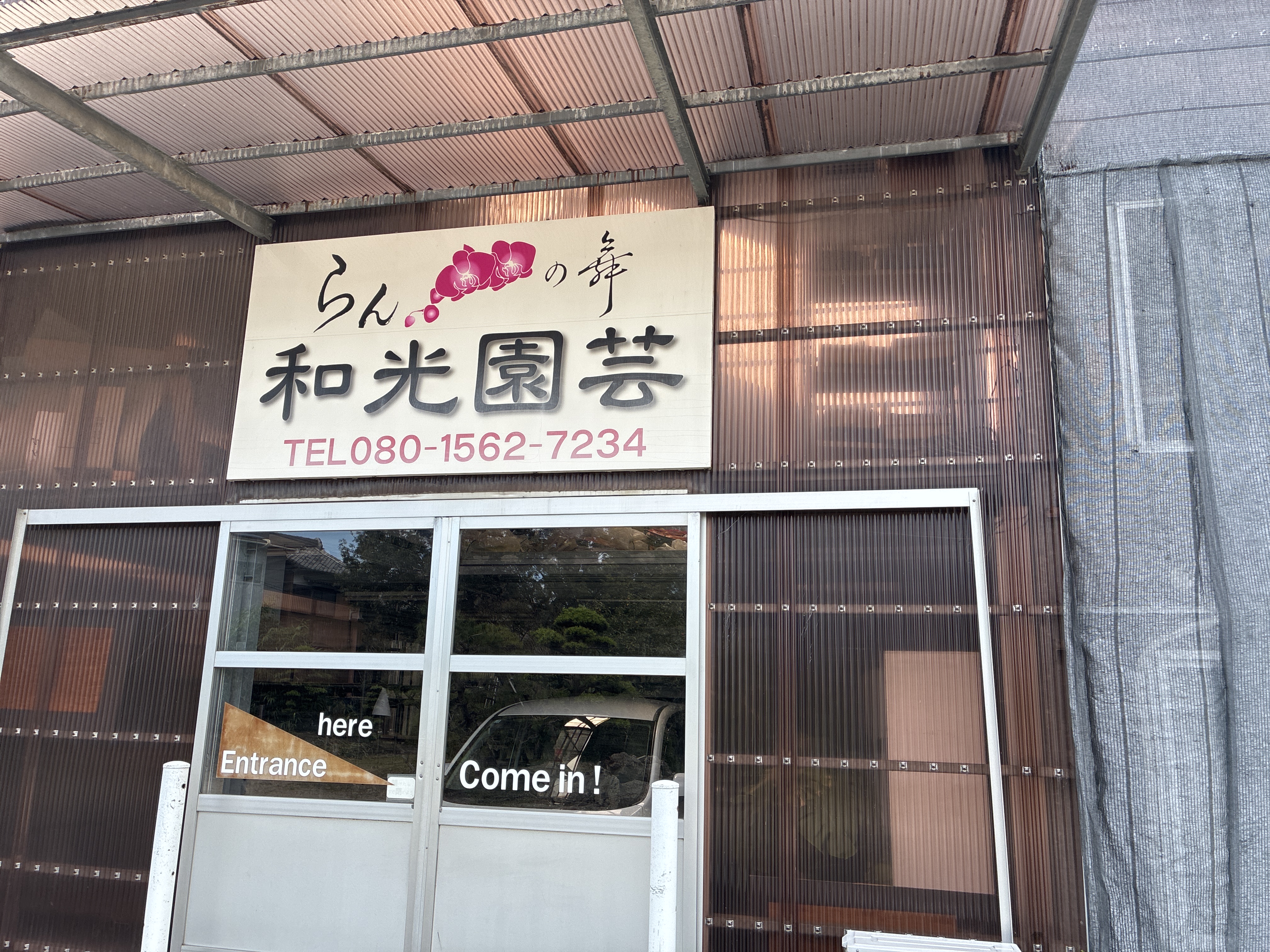 らんの舞 和光園芸