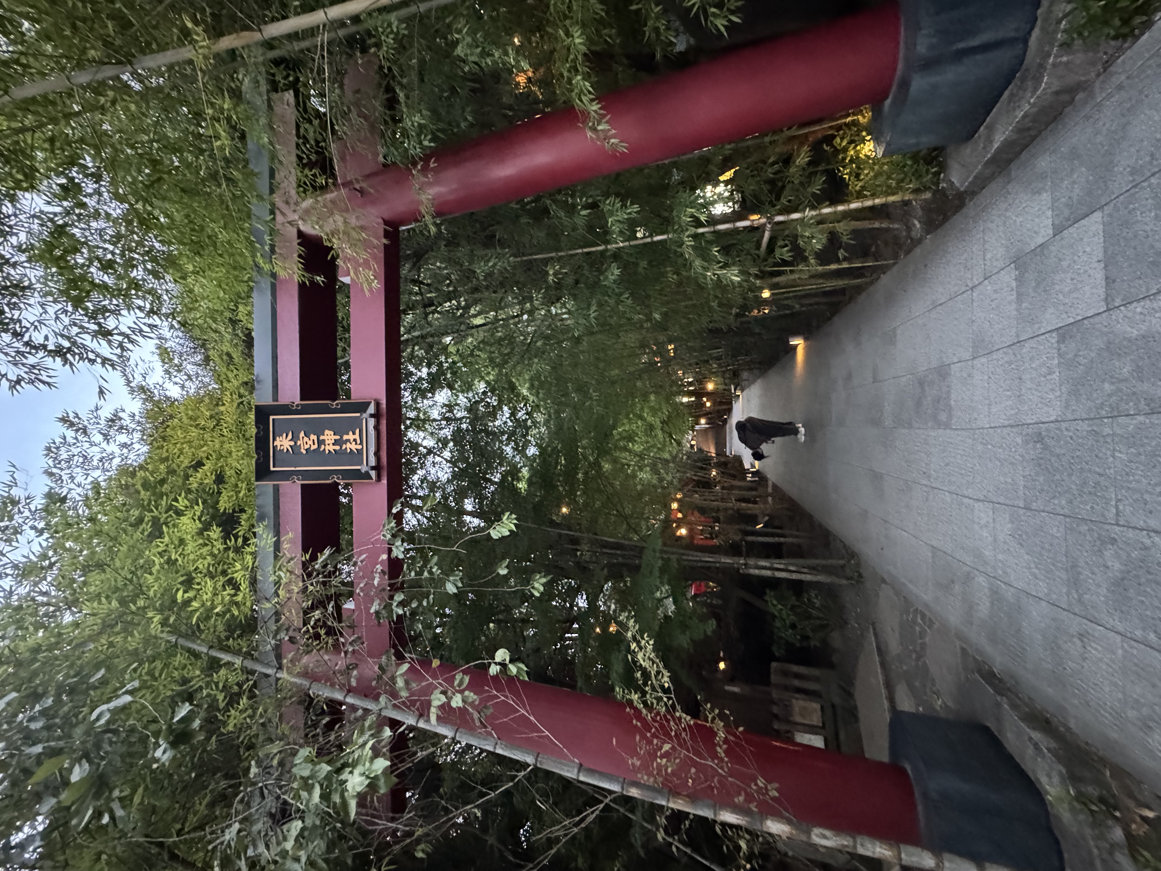 來宮神社鳥居