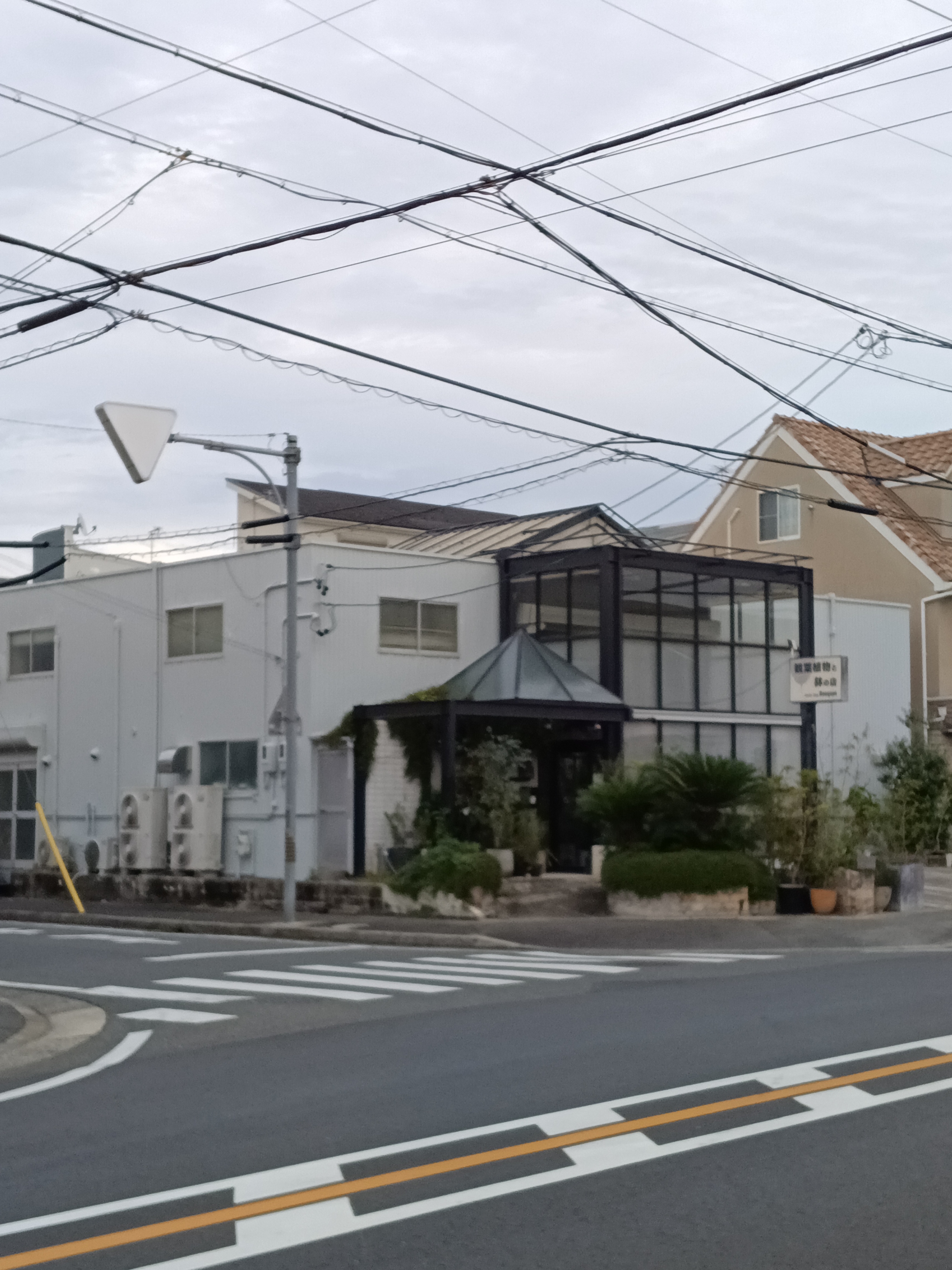 観葉植物と鉢の店