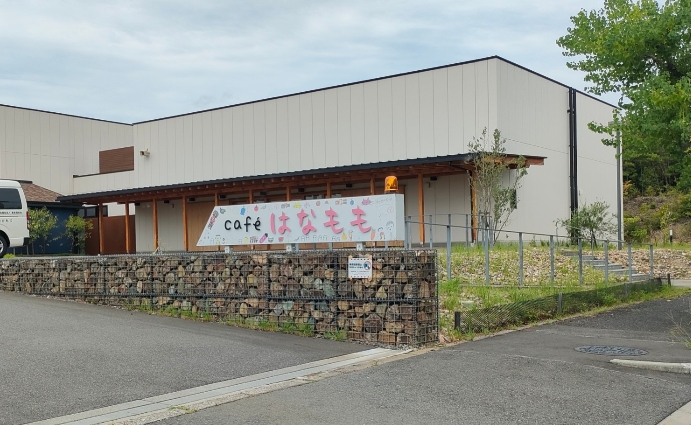 はなもも