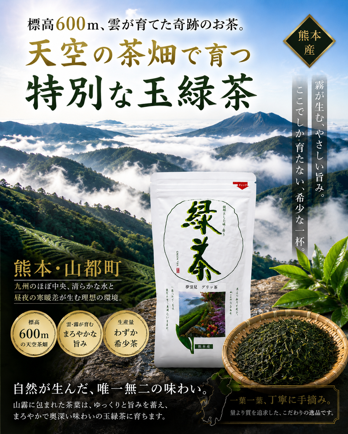 【熊本天空茶】 夢雲見（ゆうみん）グリッ茶｜手摘み玉緑茶100g