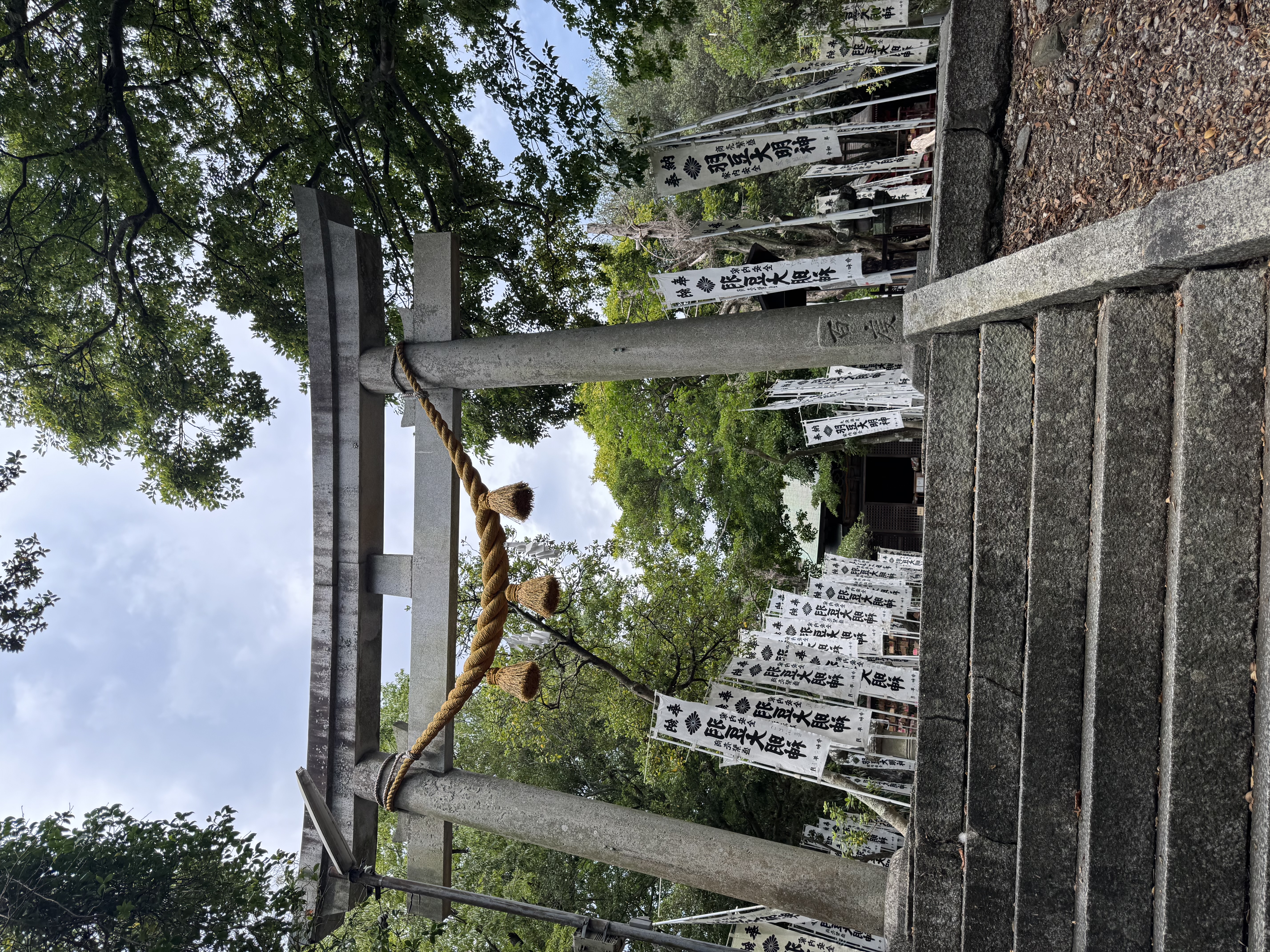 穏やかなひとときと神社の風景 2枚目